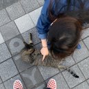 공백0 VEK DESIGN STUDIO | [일산] 공백0 VEK_미용실추천