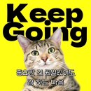 코끼리시장 이미지