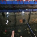 용인실내바다낚시터 | 용인실내바다낚시 후기 아이와 함께 가기 좋은 용인 놀거리 데이트