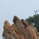거북사 - 전주시 완산구 화산천변로 29 | 거북사