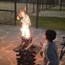 동반상사 | 전남 광주 근교 글램핑 키즈 애견동반 추천 바베큐 주는 순천 러블레싱글램핑