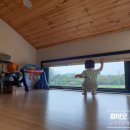 키즈팜민박 | 제주 한달살기 숙소 극과 극 비교체험, 14개월 아기와 제주도 한달살이