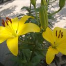 자유로농장 이미지