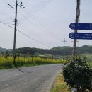 서해랑길 11코스 이미지
