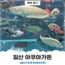 일산 물고기카페 아쿠아가든 후기 주차 및 층별 정보