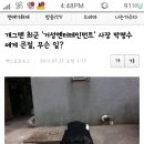 개그맨최군'거성엔터테인먼트' 사장 박명수에게큰절 이미지