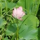 문수산 펜션 이미지