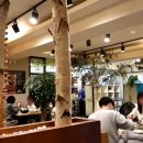 녹색의향기성남점 이미지