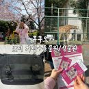 힐링랜드23 성남지점 | 후쿠오카 벚꽃 명소 추천 🌸 동물원 식물원 + 포터 가방 쇼핑 후기(라라포트 / 텐진)