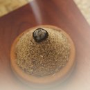 자담 한의원 이미지