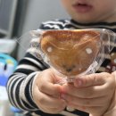 지니 어린이집 | 여수디저트카페 써니힐 내돈내산후기(어린이집간식)