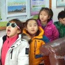 조림초등학교 이미지