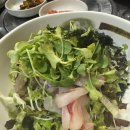 [문정동 맛집] 가든파이브 점심 추천! 회덮밥과 알탕이 일품인 ‘회사랑’ 후기 🐟🍲