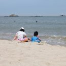 진하해수욕장 이미지