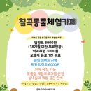 칠곡동물체험카페 이미지