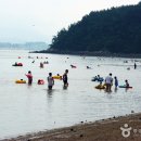 대전해수욕장1 이미지