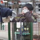 아빠와돈까스 이미지