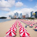 해수욕장사업소 이미지