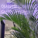 카페051화명 이미지