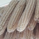 정선그림바위민박 이미지