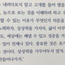 간결한 대답