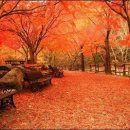 대의초등학교 이미지