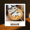 카페봄내 이미지