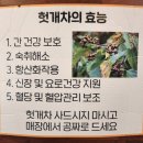 교대역 12번출구 앞 | 교대역맛집 서병장 교대점｜두루치기 맛집 솔직 후기