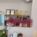 예나뷰티랩
