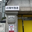 스테이 청춘 이미지