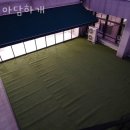 아담하개