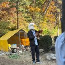 광산초등학교 | 시리도록 눈부신