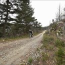 원바이크 이미지