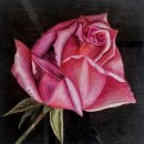 보태니컬 아트 이미지