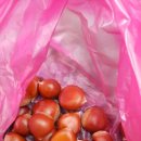 구름계곡캠핑장 이미지