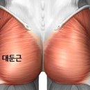 유온핏 휘트니스 신영통점 이미지