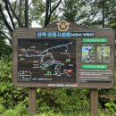 총총총