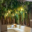 호텔포마 | 압구정역피부과 인모드 FX 포마 전후 효과 비교 내돈내산 후기