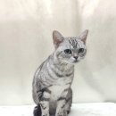 청라원 이미지