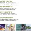 라온숲유치원 이미지