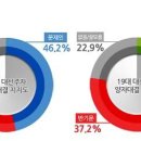 "리얼미터 지역, 연령, 정치성향별 양자대결 조사가 풀어준 몇가지 오해" 이미지