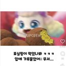 파파레브 | 광주 첨단2지구 파파레브 '두쫀쿠' 성공 후기! 오픈런 &amp; 구매 제한 정보