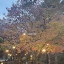 영양군 청소년수련관 | 비스타워커힐 피자힐 후기&amp; 그랜드워커힐 더파빌리온 라운지에서 편안한 휴식