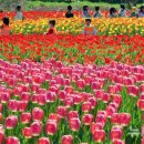 낙동강관리본부 화명생태공원 8 이미지