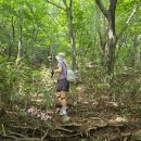 [수업후기] 고요한 산사에서 마음을 쉬다. 이미지