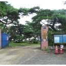 남성초등학교 이미지