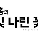 백광사 이미지