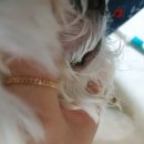 어매밥줘 이미지