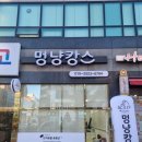 멍냥캉스 이미지