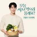 올데이 이미지